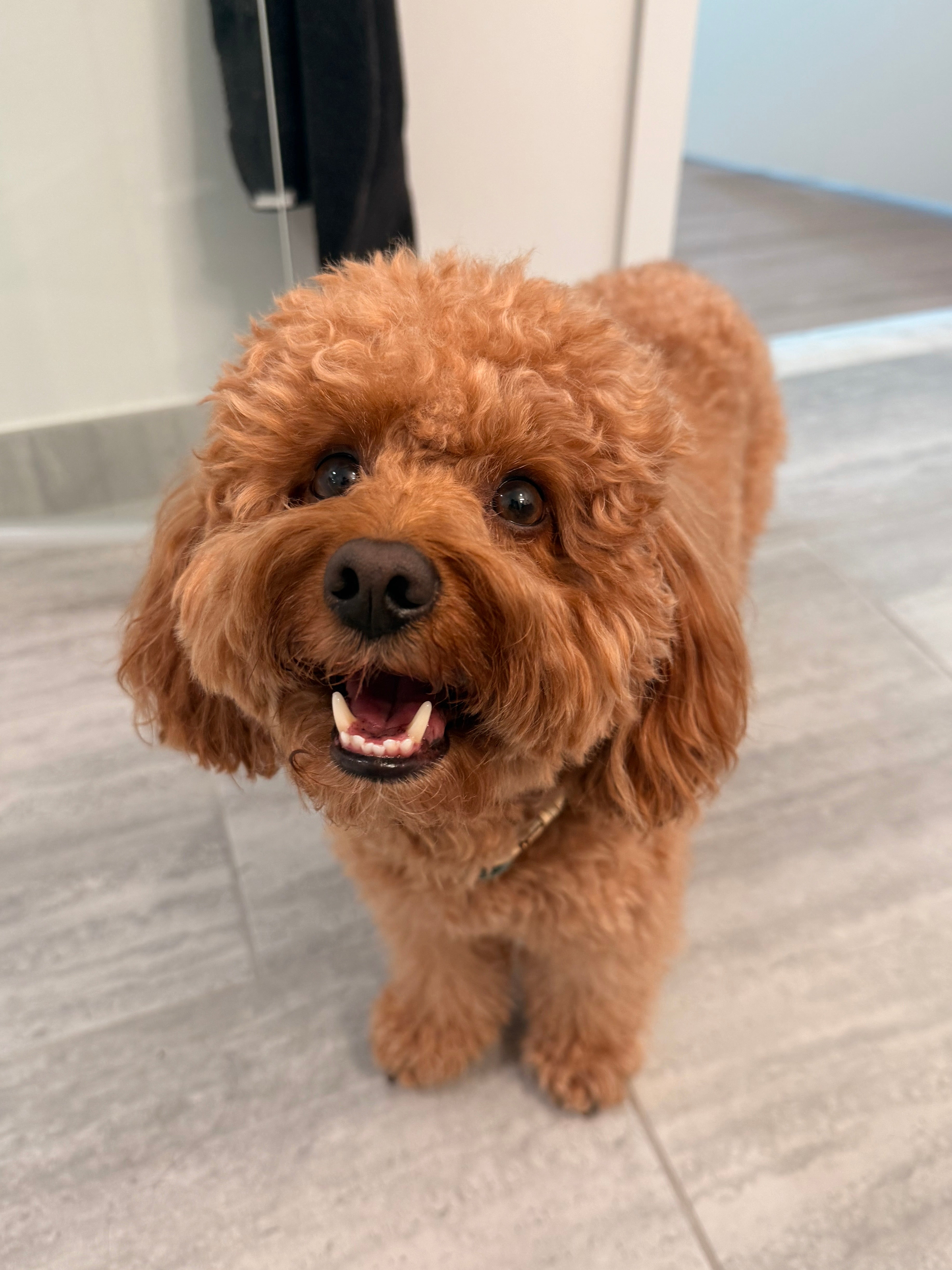 Brody smiling at home